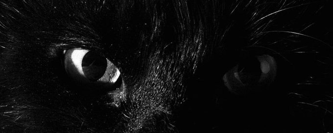 Welcome to week 7's weekly wrap up.A sad week this week as a mass shooting by a transgender shooter in Canada killed 10 people and injured 25, across the water in the UK a 13 year old was arrested on terror charges for the attempted murder of 2 teenagers and in France a 23 year old man, Quentin Deranque was killed, reportedly by far left protesters. The asylum seeker that killed 17 year old Lisa in Amsterdam pleaded guilty in his pre-trial and a man who had  been freed early from jail was arrested in Paris for trying to attack soldiers. Manchester United co-owner caused controversy by saying that the UK had been colonized by immigrants and a new UK political party, Restore Britain, promising to deport millions of migrants was launched. Trump maintained that Iran wants to make a deal, while exiled Iranian Prince Reza Pahlavi confirmed that he would not run for office and protests for Iran took place globally. ICE cooled down as they announced they would be concluding their deportation surge in Minnesota. Trump terminated Obama's 2009 