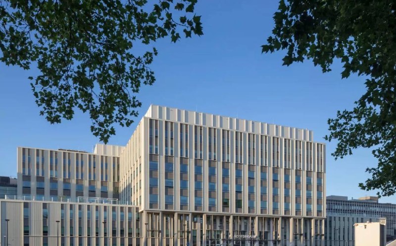 NEW - Dutch hospital quarantines 12 staff members, for 6 weeks, in a preventive measure after blood and urine from a hantavirus patient were handled without observing strict protocols.@disclosetv