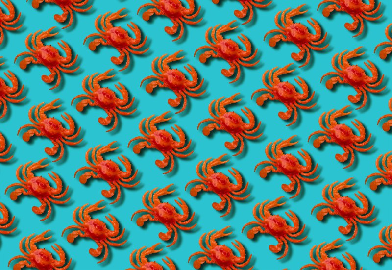 Meta acquires Moltbook