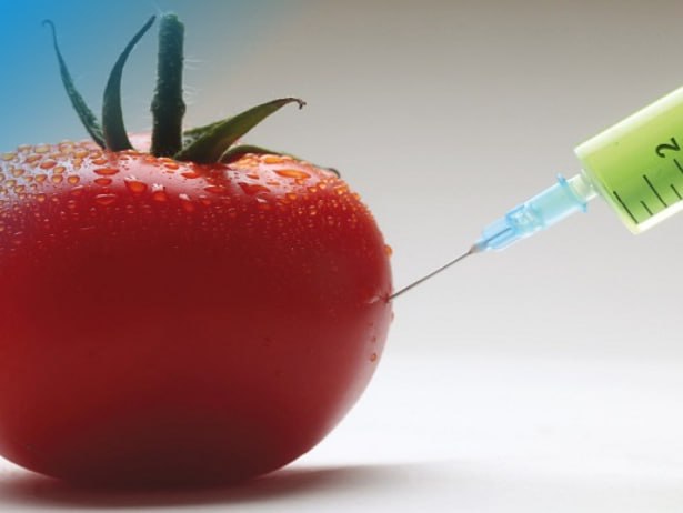 NEW - EU Parliament to vote next week on new legislation introducing a 2 category system for GMO products under 